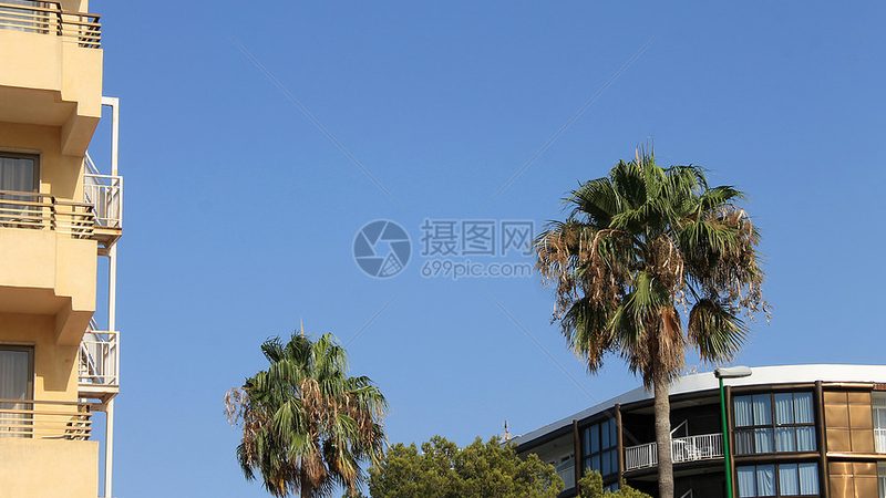 广州正规夏令营机构如何选择？关键要素解析**